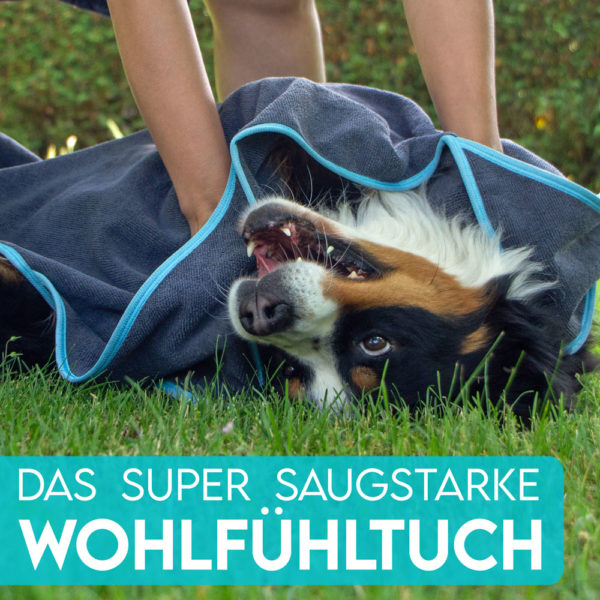 Mikrofaser Hundehandtuch – Bild 7