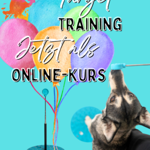 Target Training Basics -Der Online Kurs